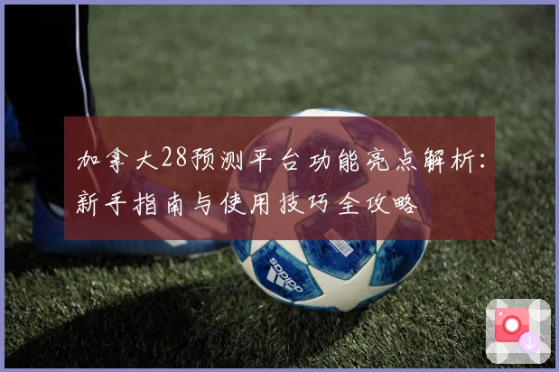 加拿大28预测平台功能亮点解析：新手指南与使用技巧全攻略