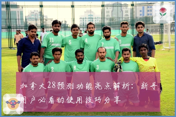 加拿大28预测功能亮点解析：新手用户必看的使用技巧分享