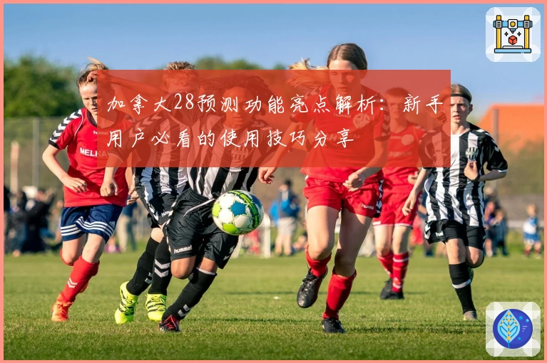 加拿大28预测功能亮点解析：新手用户必看的使用技巧分享