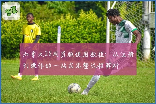 加拿大28网页版使用教程：从注册到操作的一站式完整流程解析