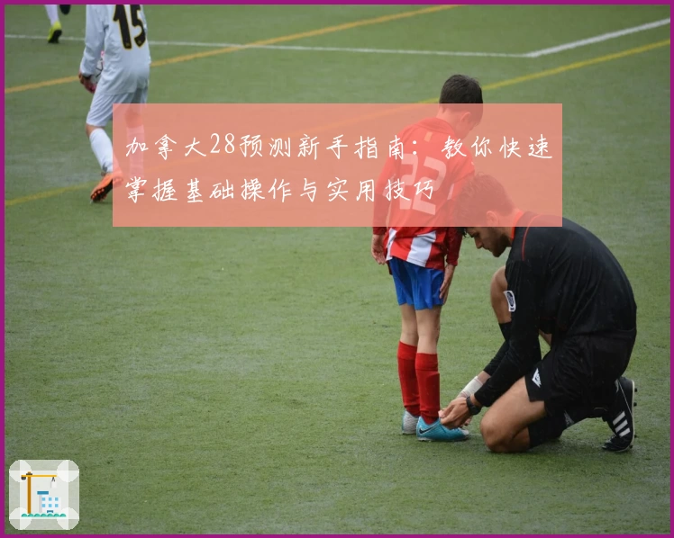 加拿大28预测新手指南：教你快速掌握基础操作与实用技巧