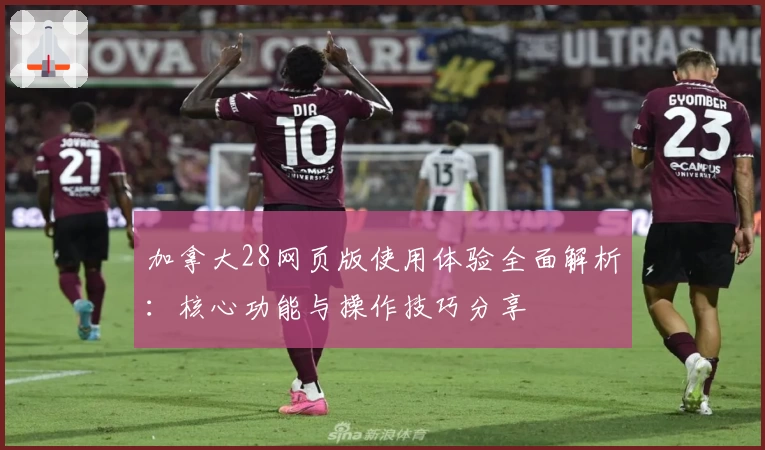 加拿大28网页版使用体验全面解析：核心功能与操作技巧分享