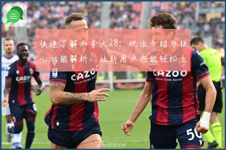 快速了解加拿大28：玩法介绍与核心功能解析，让新用户也能轻松上手