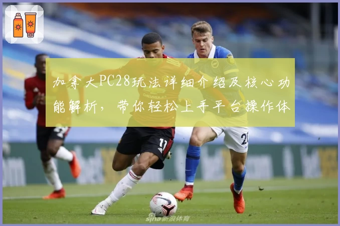 加拿大PC28玩法详细介绍及核心功能解析，带你轻松上手平台操作体验