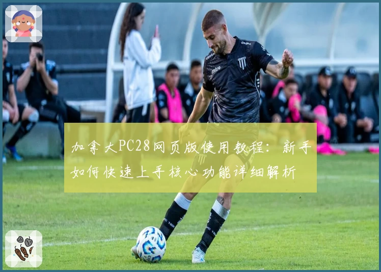 加拿大PC28网页版使用教程:新手如何快速上手核心功能详细解析