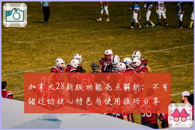 加拿大28新版功能亮点解析：不可错过的核心特色与使用技巧分享