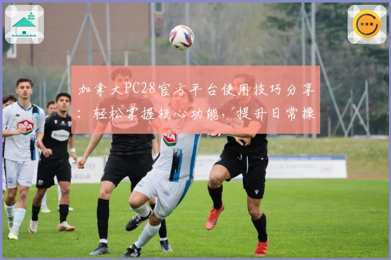 加拿大PC28官方平台使用技巧分享：轻松掌握核心功能，提升日常操作效率