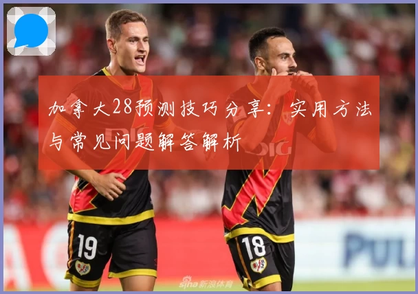 加拿大28预测技巧分享：实用方法与常见问题解答解析