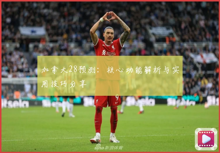 加拿大28预测：核心功能解析与实用技巧分享